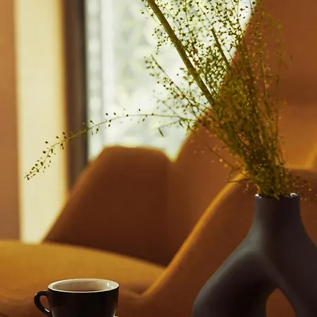 Hotel Nami Medical & Clinic & Yoga - Adults Only - Medical Programs *